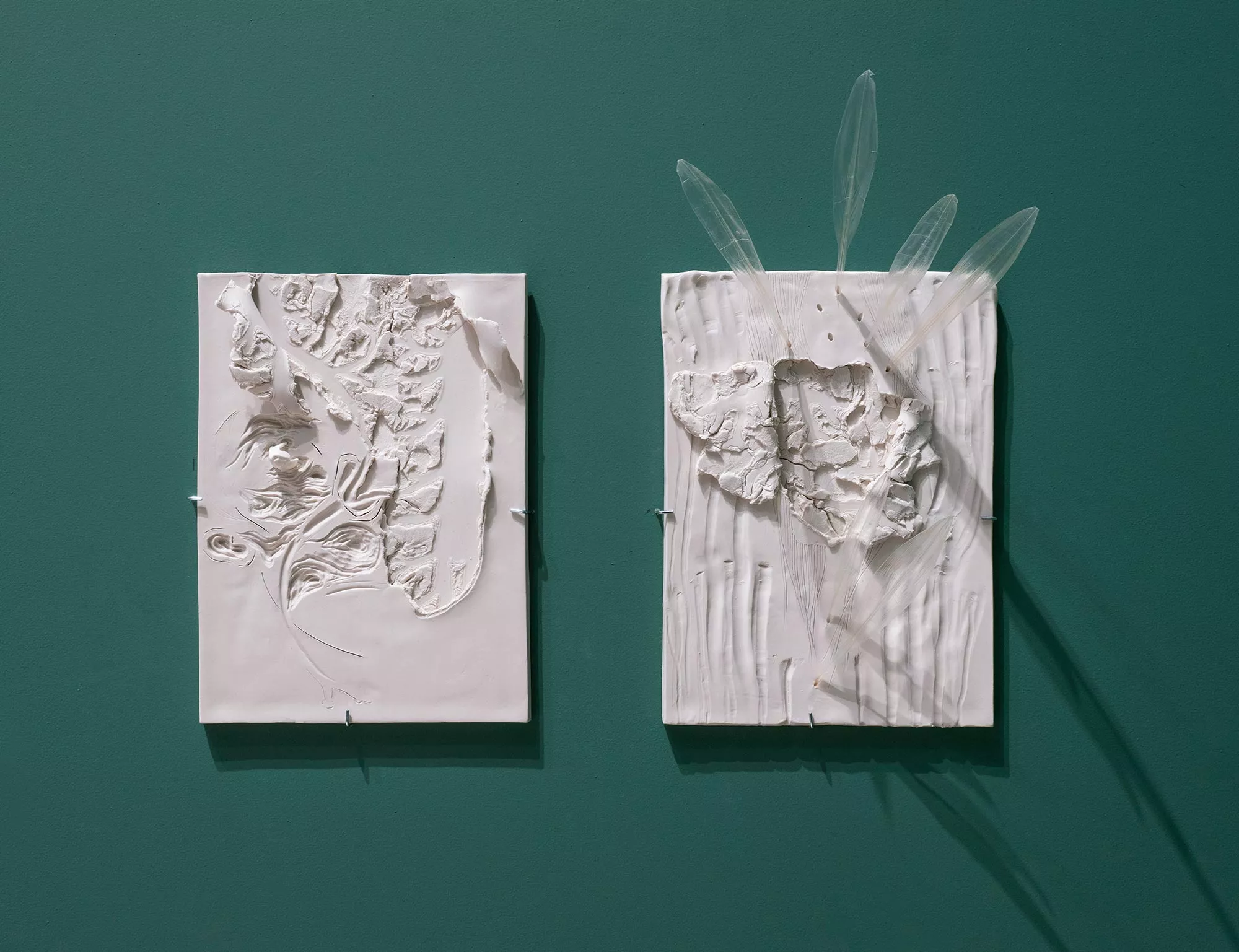 Gaia Fugazza - Sete - Gaia Fugazza - Sete - Lungs, 2025