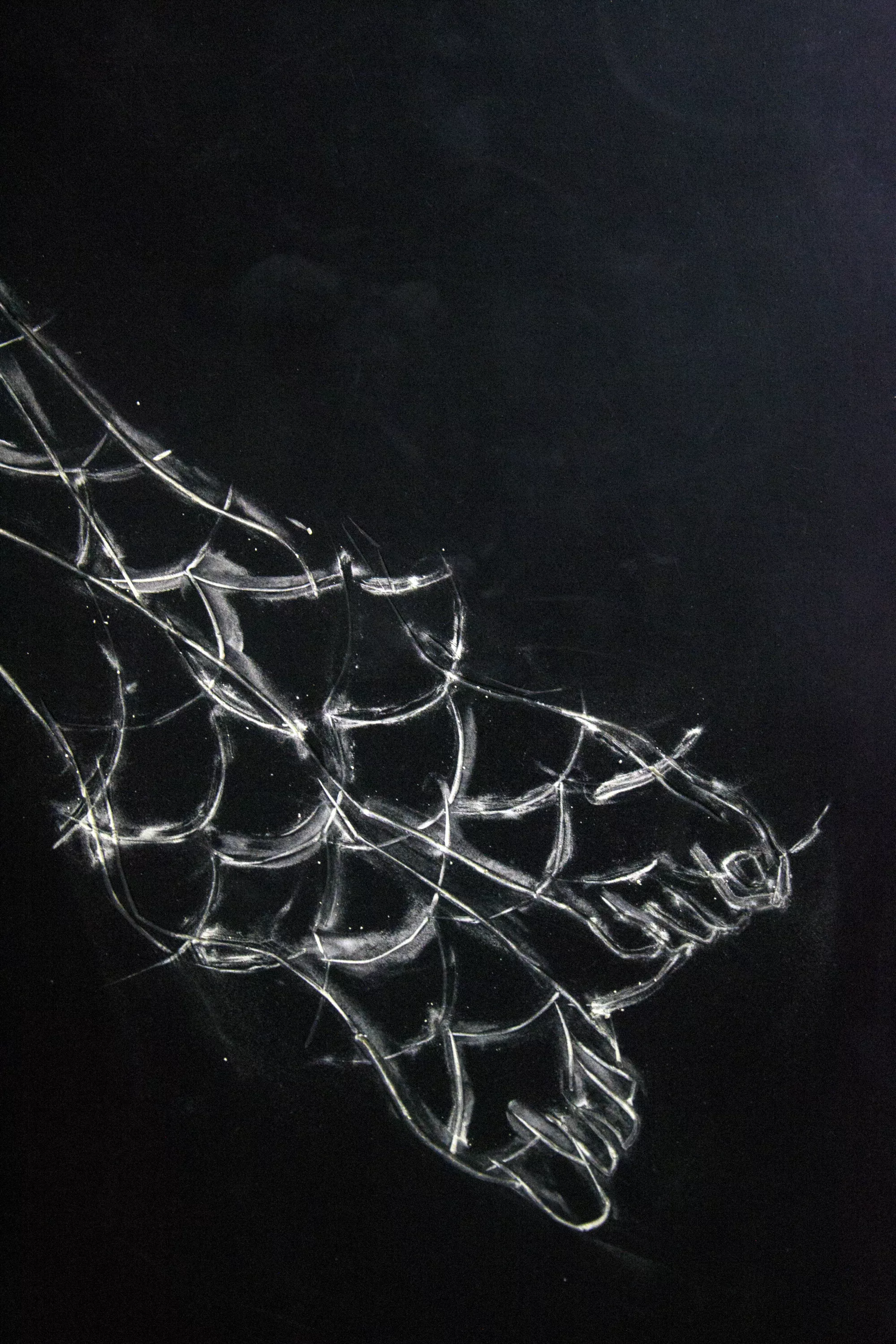 Gaia Fugazza - Growing Gills - Gaia Fugazza - Growing Gills - Code Writer(detail), 2016 Natural rubber, sulphur, 300 × 200 cm
