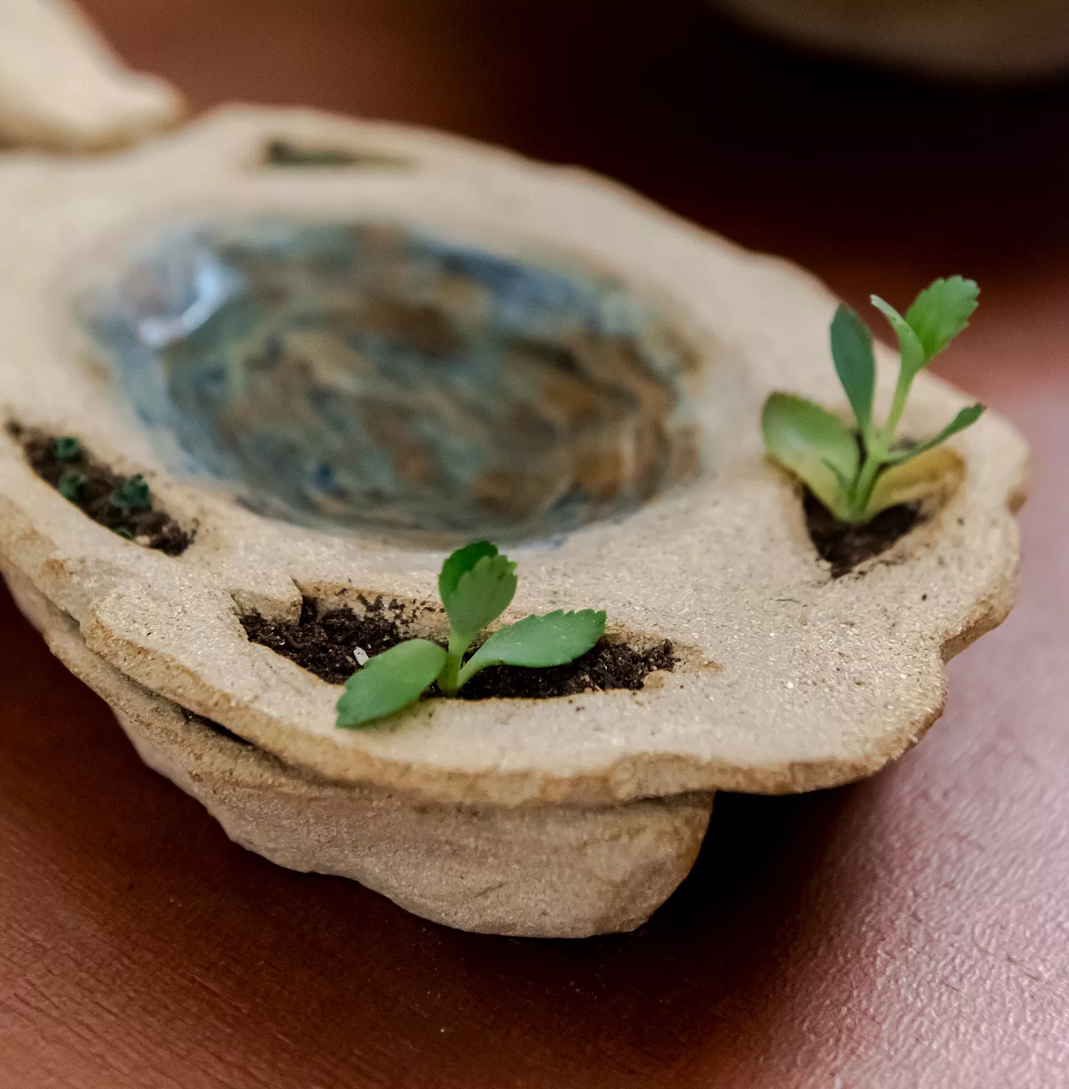 Gaia Fugazza - Gaia Fugazza, Those Who Walk Away, 2023, detail of plants growing from earthenware ceramic sculpture with a small pool of water behind.